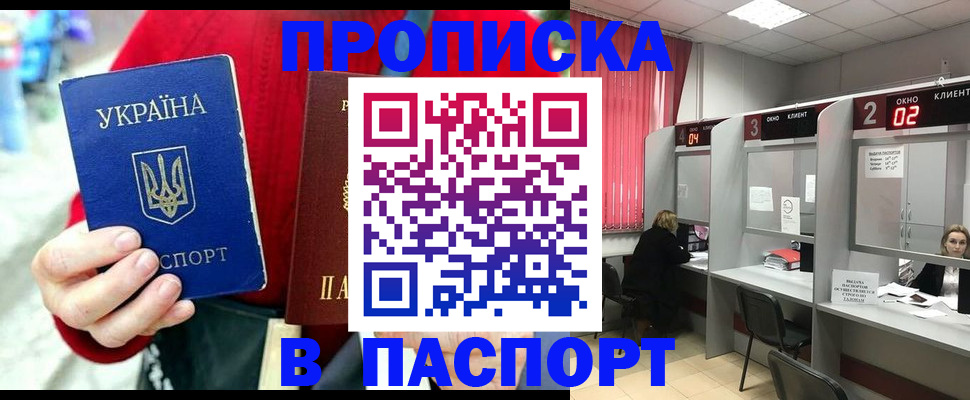 прописка 2025 в Елизово